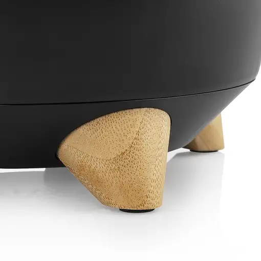 Princess 201862 prensa de cítricos eléctricos 1 L 300 W Negro, Transparente, Mader