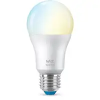 WiZ Bombilla 60 W A60 E27