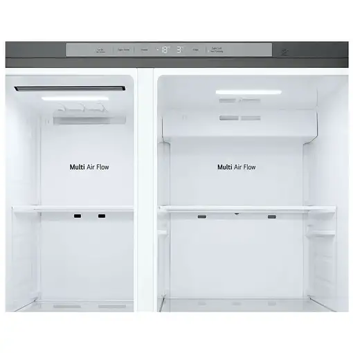 LG InstaView GSJC41PYPE nevera puerta lado a lado Independiente 641 L E Plata