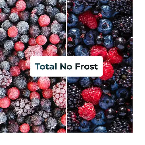 Frigoríficos сombis Independiente 322 L Acero inoxidable 02429 CECOTEC