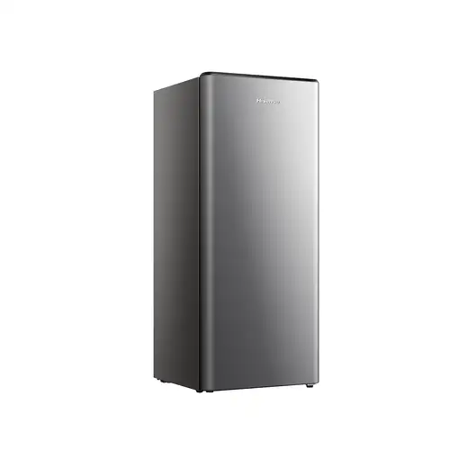 Hisense RR220D4BDE nevera combi Independiente 165 L Plata