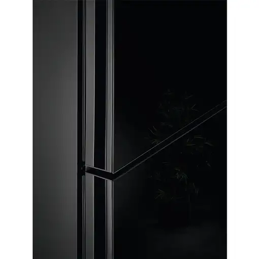 Nevera y congelador Independiente 366 L Negro 75759 925 993 700 AEG