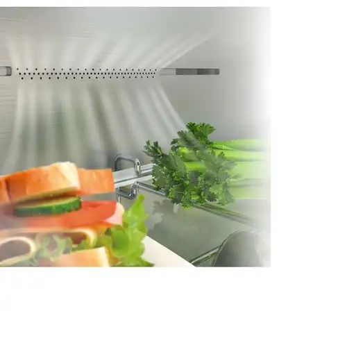 Hisense RB440N4CCB nevera combi Independiente 300 L B Plata