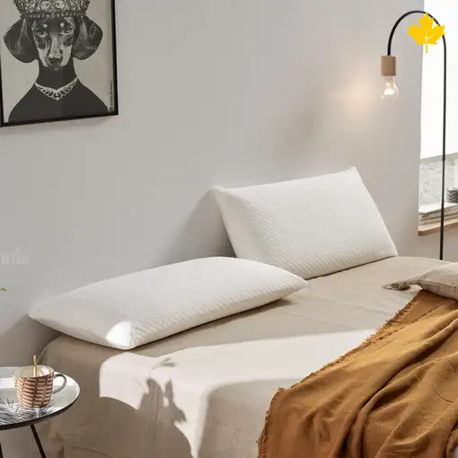 Pack Colchon + Almohada Viscoelastica + Somier Descansin | Medida 80 x 180