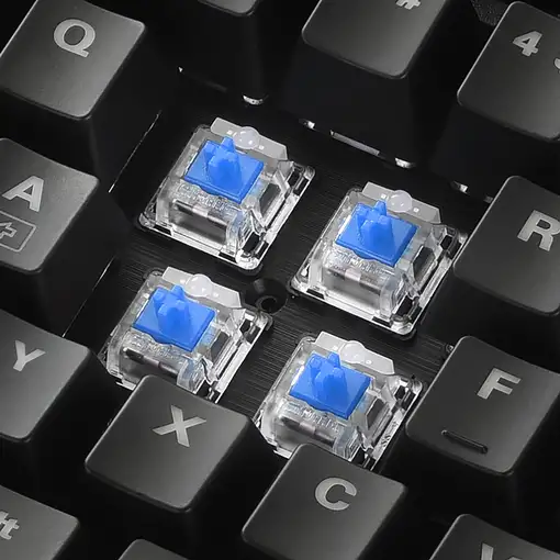 Sharkoon SKILLER SGK30 teclado Juego USB QWERTY Español Negro