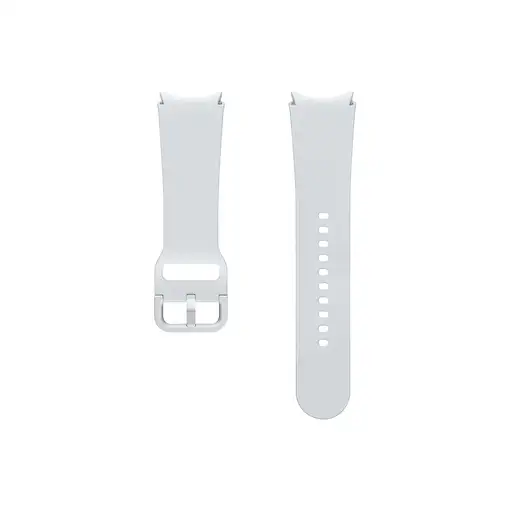 Samsung ET-SFR93SSEGEU Accesorios para dispositivos vestibles inteligentes Grupo d