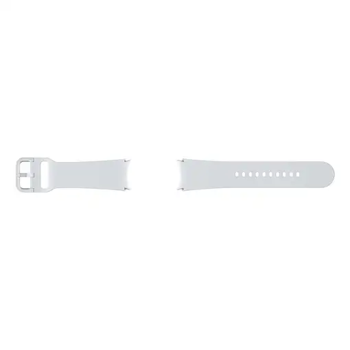Samsung ET-SFR93SSEGEU Accesorios para dispositivos vestibles inteligentes Grupo d