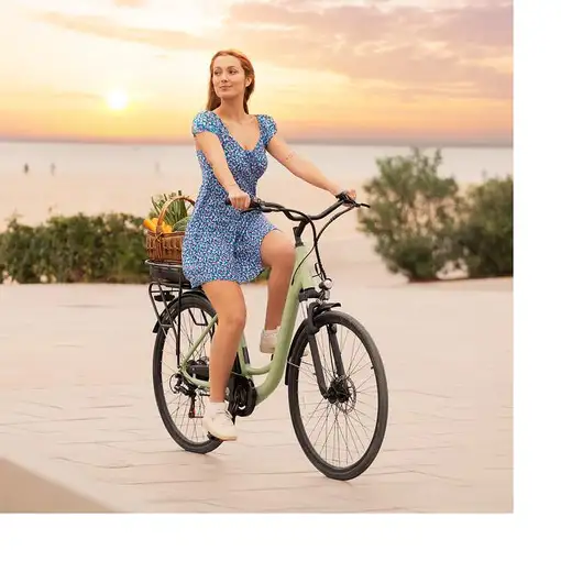 Cecotec 07178 bicicleta eléctrica Verde Aluminio 5,08 cm (2'')