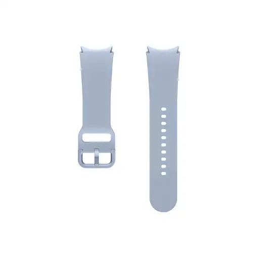 Samsung ET-SFR93SLEGEU Accesorios para dispositivos vestibles inteligentes Grupo d
