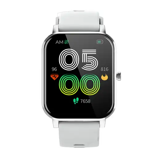 Smartwatch Denver SW-181GREY  (1.7'')