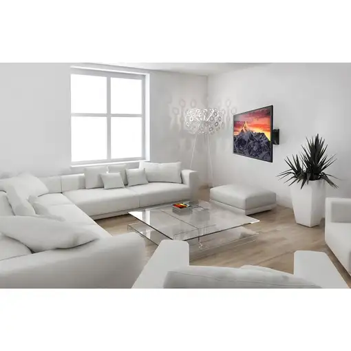 Reflecta 23111 soporte para TV 101,6 cm (40'') Negro