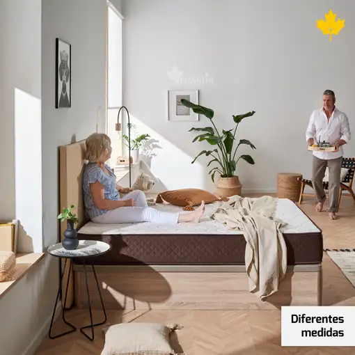 Canape Abatible 135 x 190 cm | Color Blanco | Con Subida A Domicilio | Descansin