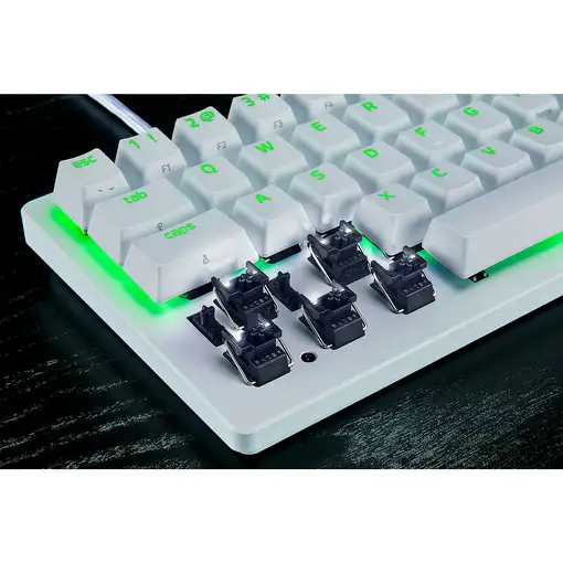 Razer RZ03-04981700-R3M1 teclado Juego USB QWERTY Inglés internacional Blanco