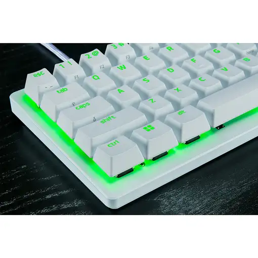 Razer RZ03-04981700-R3M1 teclado Juego USB QWERTY Inglés internacional Blanco