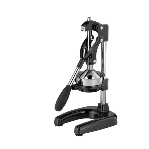 Cilio 309164 exprimidor Exprimidor eléctrico con brazo Negro, Acero inoxidable Cilio 309164 exprimidor Exprimidor eléctrico con brazo Negro, Acero inoxidable