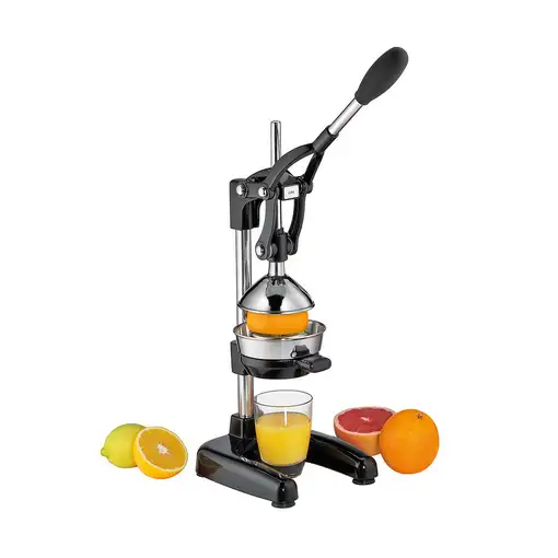 Cilio 309164 exprimidor Exprimidor eléctrico con brazo Negro, Acero inoxidable