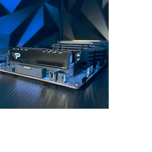 Patriot Memory Signature PSP532G5600KH1 módulo de memoria 32 GB 2 x 16 GB DDR5 560