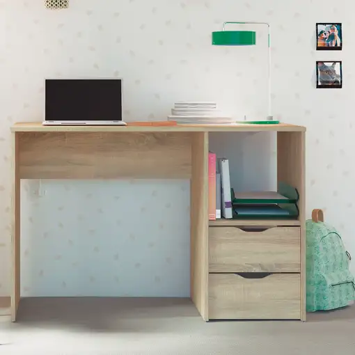 Escritorio, Mesa de Ordenador 76x115x50cm 2 Cajones, Oficina, Juvenil,Prakt Briebe