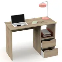 Escritorio, Mesa de Ordenador 76x115x50cm 2 Cajones, Oficina, Juvenil,Prakt Briebe