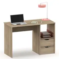 Escritorio, Mesa de Ordenador 76x115x50cm 2 Cajones, Oficina, Juvenil,Prakt Briebe