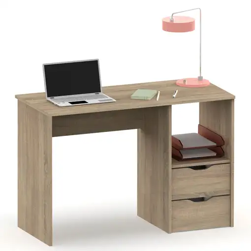 Escritorio, Mesa de Ordenador 76x115x50cm 2 Cajones, Oficina, Juvenil,Prakt Briebe