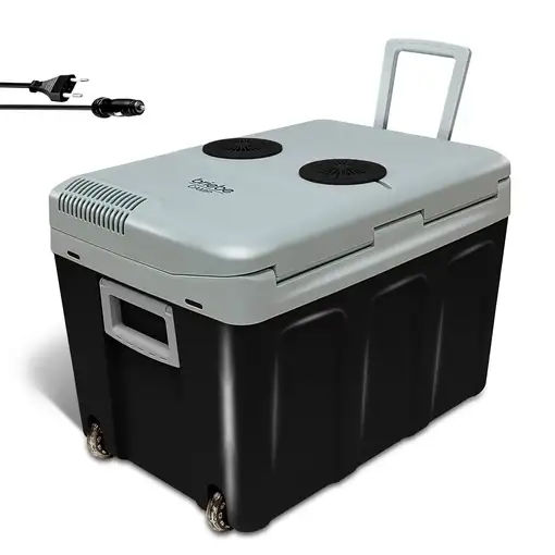 Nevera Portátil Eléctrica de Viaje, Coche, Camping, 40 L, 12V-220V,CF115BLK Briebe