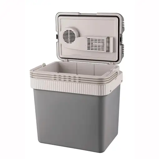Nevera Portátil Eléctrica de Viaje, Coche, Camping, 21 L, 12V y 220V,CF1151 Briebe