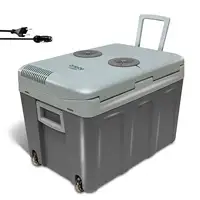 Nevera Portátil Eléctrica de Viaje, Coche, Camping, 40 L, 12V-220V, CF1155 Briebe