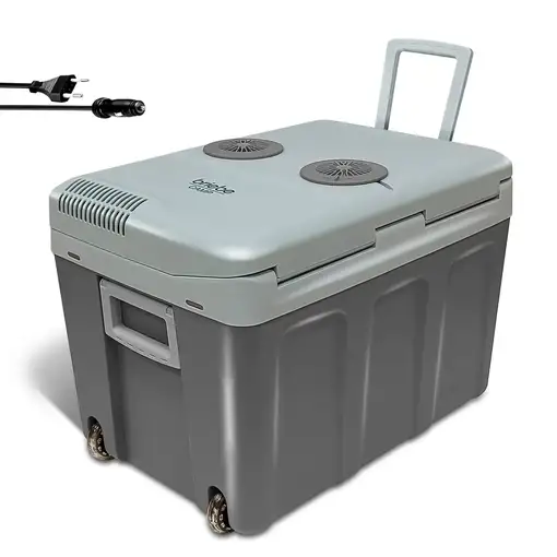 Nevera Portátil Eléctrica de Viaje, Coche, Camping, 40 L, 12V-220V, CF1155 Briebe