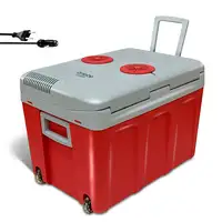 Nevera Portátil Eléctrica de Viaje, Coche, Camping, 40 L, 12V-220V,CF115RED Briebe