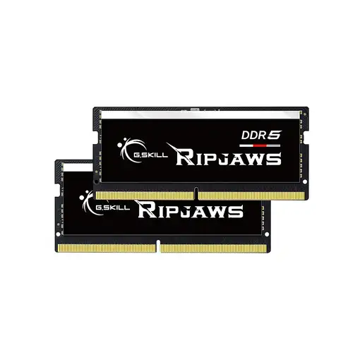 G.Skill Ripjaws F5-4800S4039A16GX2-RS módulo de memoria 32 GB 2 x 16 GB DDR5 4800