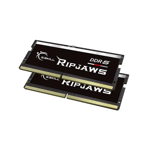 G.Skill Ripjaws F5-4800S4039A16GX2-RS módulo de memoria 32 GB 2 x 16 GB DDR5 4800
