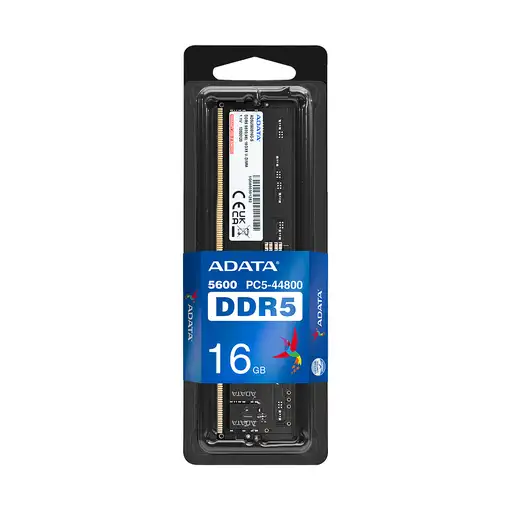 ADATA AD5U560016G-S módulo de memoria 16 GB 1 x 16 GB DDR5 5600 MHz