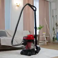 Lava-aspiradora Limpiador Tapicería Coche, Limpiador Manchas Mascotas, Vira Briebe