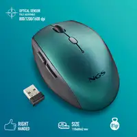 BEEBLUE