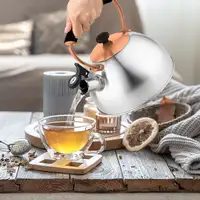 Tetera con Silbato, Hervidor de Agua 2,3L, Inducción, Acero Inox,  I-Bronze Briebe