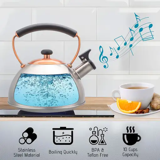 Tetera con Silbato, Hervidor de Agua 2,3L, Inducción, Acero Inox,  I-Bronze Briebe