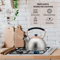 Tetera con Silbato, Hervidor de Agua 2,3L, Inducción, Acero Inox,  I-Bronze Briebe