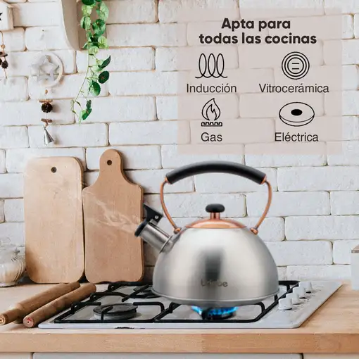 Tetera con Silbato, Hervidor de Agua 2,3L, Inducción, Acero Inox,  I-Bronze Briebe