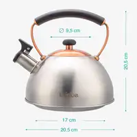 Tetera con Silbato, Hervidor de Agua 2,3L, Inducción, Acero Inox,  I-Bronze Briebe