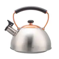 Tetera con Silbato, Hervidor de Agua 2,3L, Inducción, Acero Inox,  I-Bronze Briebe