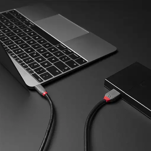 Lindy 36622 cable USB USB 3.2 Gen 1 (3.1 Gen 1) 2 m USB C Micro-USB B Negro