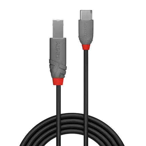 Lindy 36943 cable USB USB 2.0 3 m USB C USB B Negro