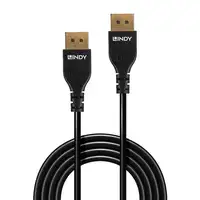 Lindy 36462 cable DisplayPort 2 m Negro