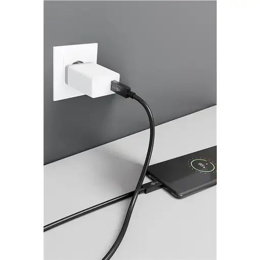 Wentronic 49254 cable USB USB 3.2 Gen 2 (3.1 Gen 2) 1 m USB C Negro