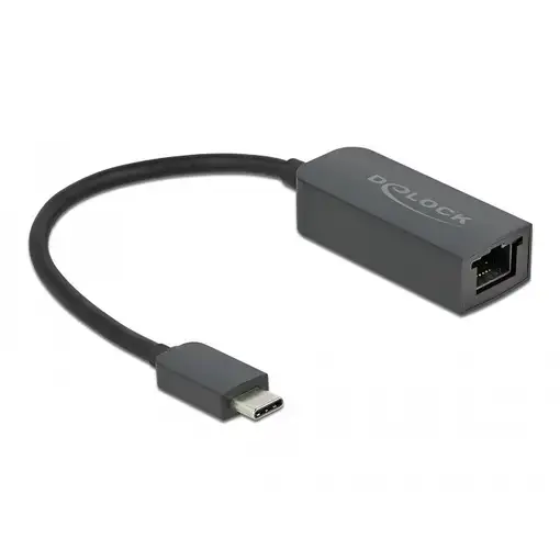 DeLOCK Adaptador USB Type-C macho a 2,5 Gigabit LAN compacto