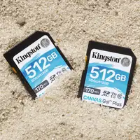 Kingston Technology Canvas Go! Plus Tarjeta SDXC Canvas Go Plus 170R C10 UHS-I U3