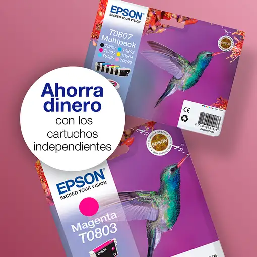 Epson Hummingbird Multipack T0807 6 colores