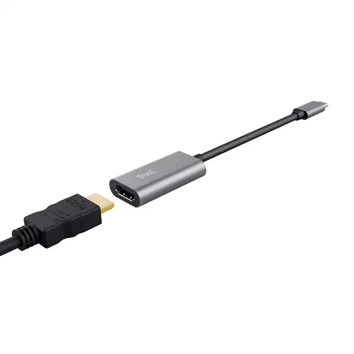 Trust Dalyx Adaptador gráfico USB Gris