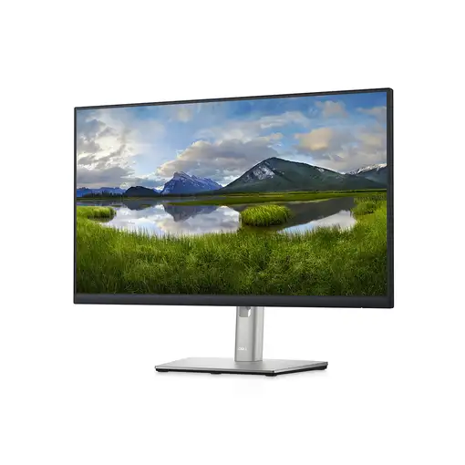 DELL P Series Monitor 60,96 cm (24") con concentrador USB-C - P2422HE